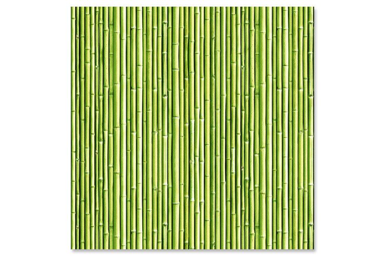 Panel rígido con estampado Bambú verde