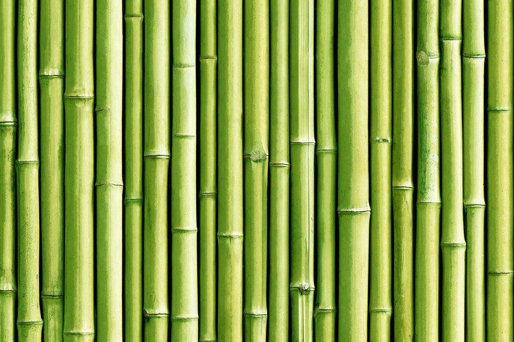 Détail du motif Bambou vert
