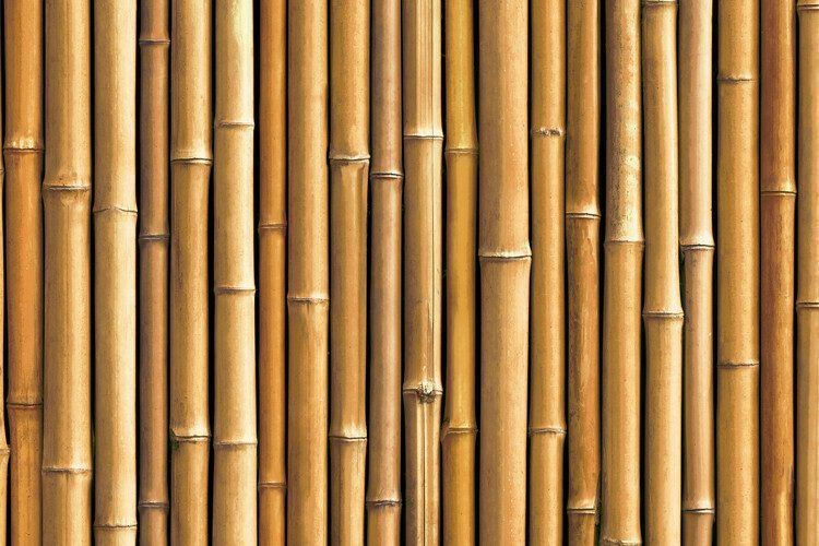 Detail du motif bambou jaune