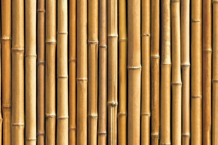 Detalle del estampado Bambú amarilla